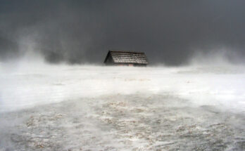 Foto: pixelio.de/Kurt Gutternigg