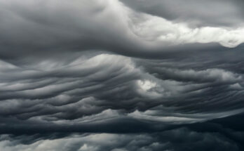 Foto: pixabay.com/Andrew Beatson