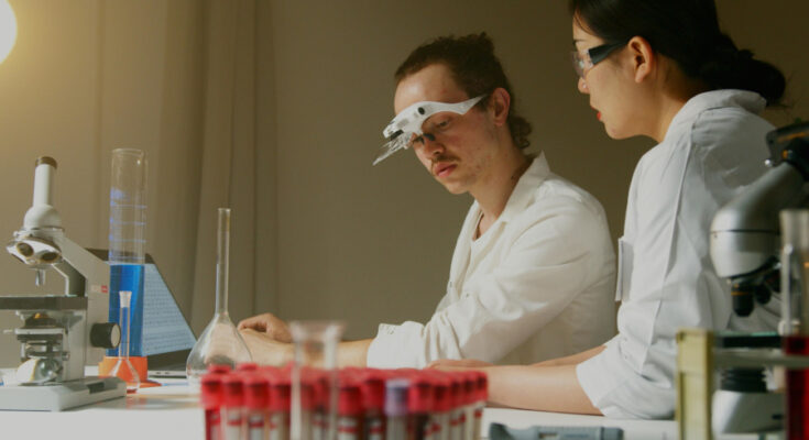 Foto: pexels.com/Artem Podrez