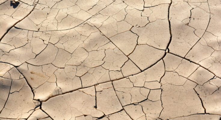 Foto: pexels.com/Carolyn