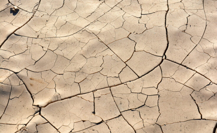 Foto: pexels.com/Carolyn