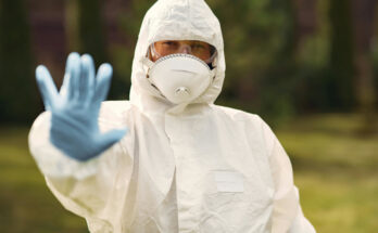 Foto: pexels.com/Gustavo Fring