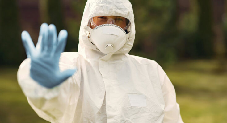 Foto: pexels.com/Gustavo Fring