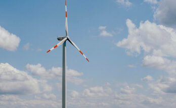 Symbolbild. Foto: pixabay.com/Claudia Schmalz