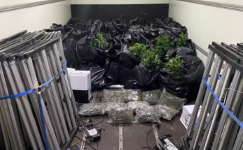 Foto: Polizei Berlin