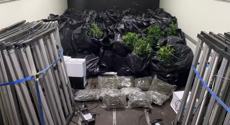 Foto: Polizei Berlin