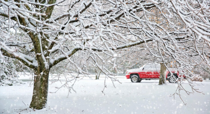 Foto: pixabay.com/Jill Wellington