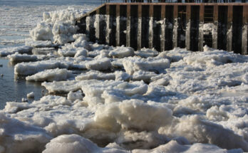 Foto: pixelio.de/Sybille Daden