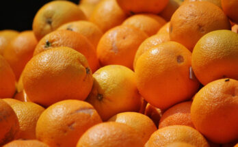 Foto: pixabay.com/Anja