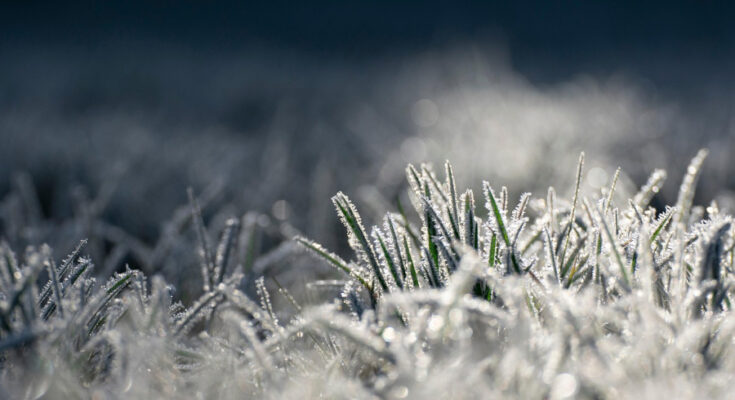 Foto: pixabay.com/Gekonek