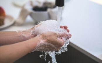 Foto: pexels.com/Burst