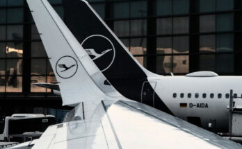 Foto: pexels.com/Mauricio Krupka Buendia