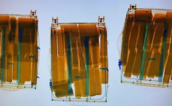 Foto: Hauptzollamt Frankfurt am Main