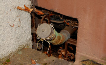 Foto: pixelio.de/Thomas Max Müller