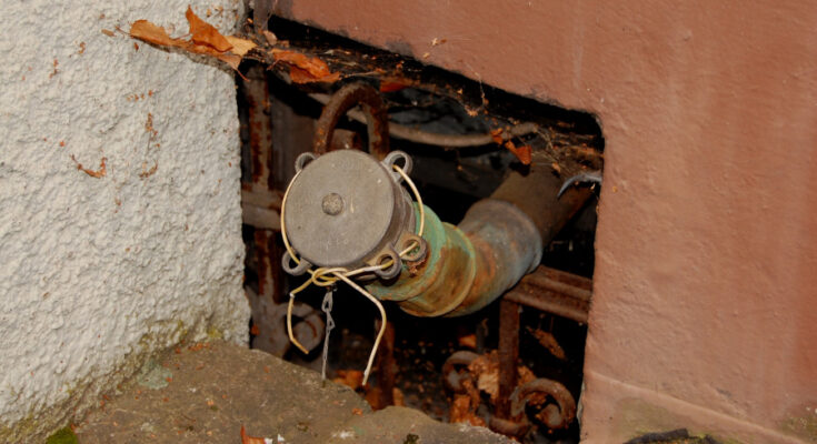 Foto: pixelio.de/Thomas Max Müller