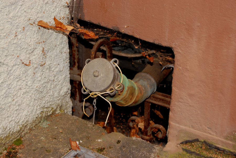 Foto: pixelio.de/Thomas Max Müller