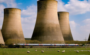 Foto: pexels.com/Alexandre Loureiro