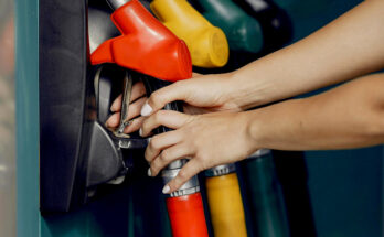 Foto: pexels.com/Gustavo Fring