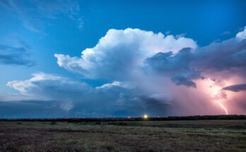 Foto: pexels.com/Raychel Sanner