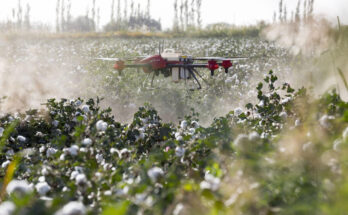 Foto: pixabay.com/viya0414