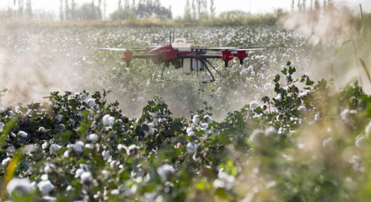 Foto: pixabay.com/viya0414