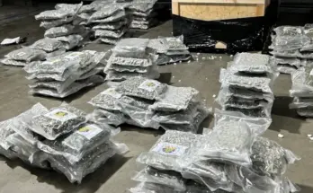 Foto: Zollfahndungsamt Essen