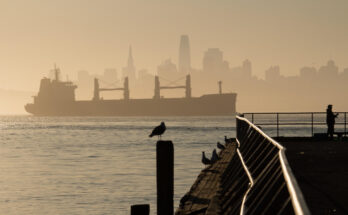 Foto: pixabay.com/Daphne