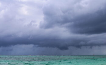 Foto: pixabay.com/Luda Kot