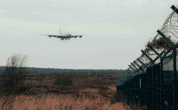 Foto: Матвей Ильин