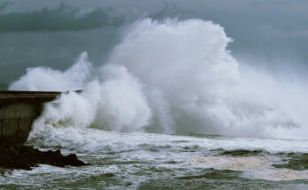 Symbolbild. Foto: pexels.com/Valerie de Limoges