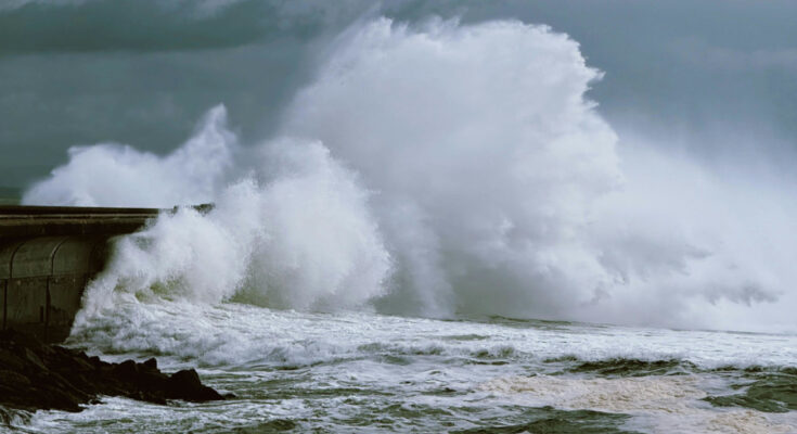 Symbolbild. Foto: pexels.com/Valerie de Limoges