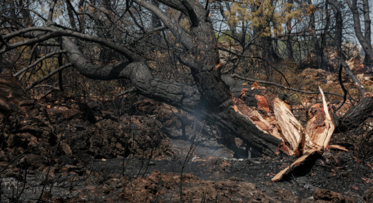 Symbolbild. Foto: pexels.com/Engin Akyurt