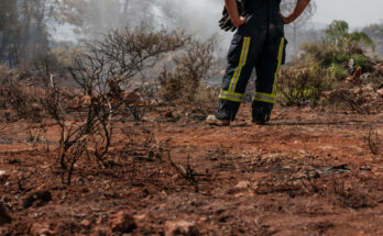 Symbolbild. Foto: pexels.com/Engin Akyurt