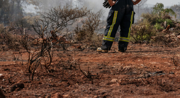 Symbolbild. Foto: pexels.com/Engin Akyurt