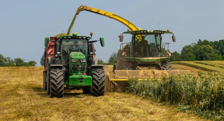 Foto: Vladimir Srajber