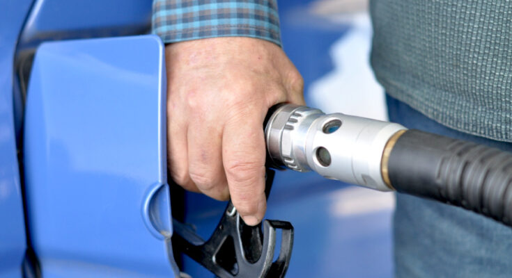 Foto: pixabay.com/Jiří Fröhlich