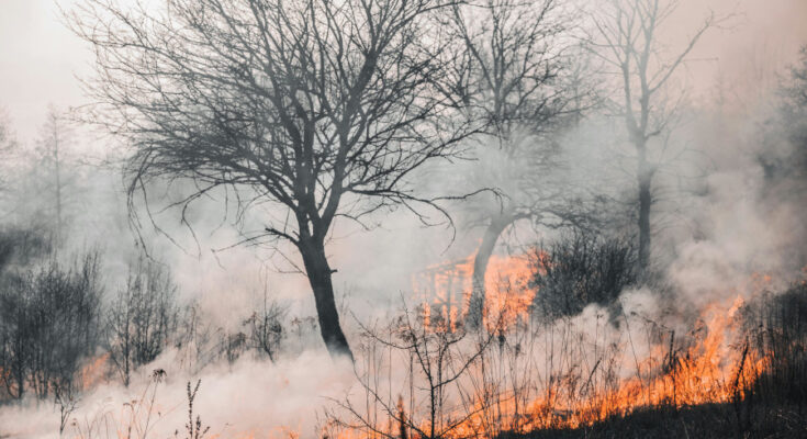 Symbolbild. Foto: pexels.com/Vladyslav Dukhin