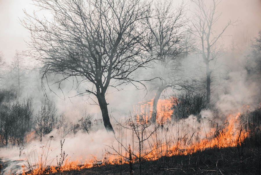 Symbolbild. Foto: pexels.com/Vladyslav Dukhin