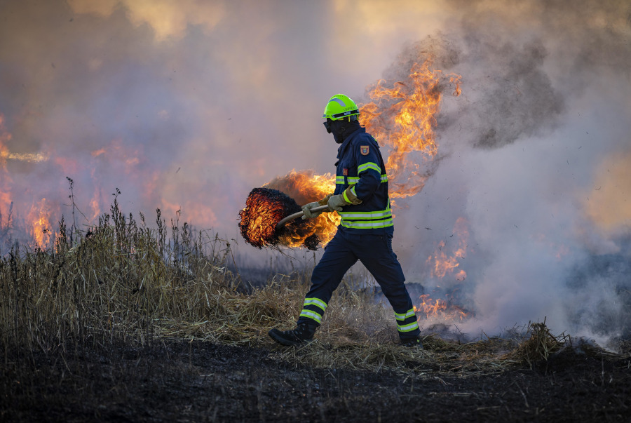 Foto: pixabay.com/Matthias Fischer
