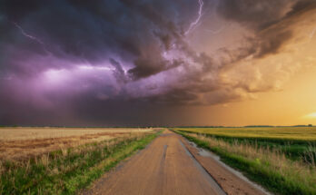 Foto: pexels.com/Branden Stephenson