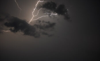 Foto: pexels.com/Jakub Pabis