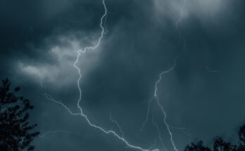 Foto: pexels.com/Guryan