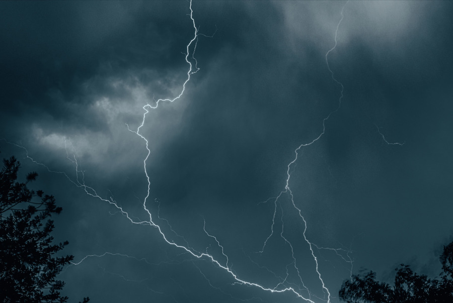 Foto: pexels.com/Guryan