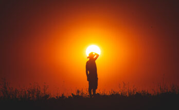 Foto: pexels.com/Emre Ayata