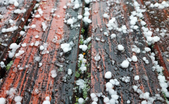 Symbolbild. Foto: pexels.com/Kristina Kutleša