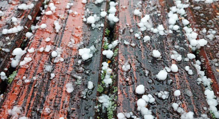 Symbolbild. Foto: pexels.com/Kristina Kutleša