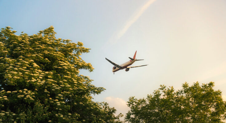 Foto: pexels.com/Michael Pointner