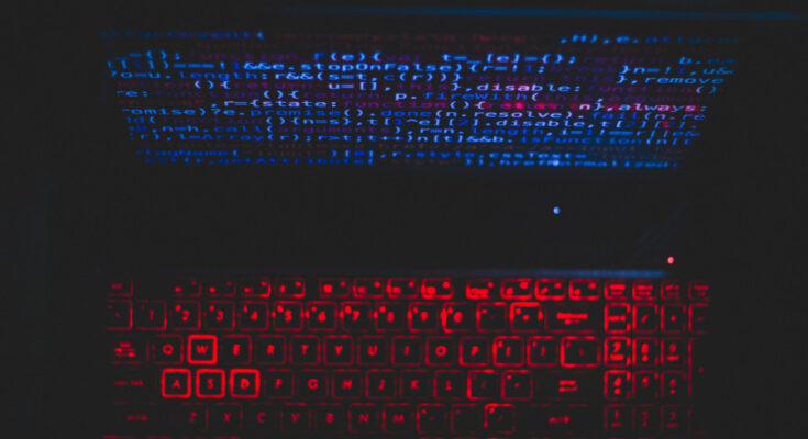 Foto: pexels.com/Rahul Pandit