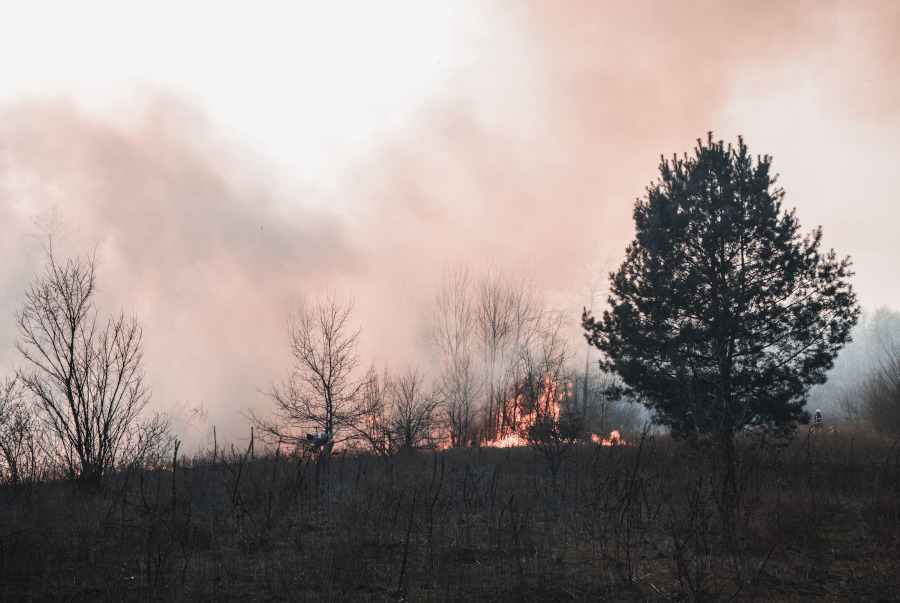 Symbolbild. Foto: pexels.com/Vladyslav Dukhin