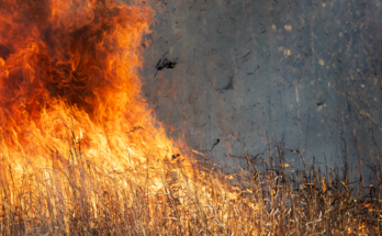 Symbolbild. Foto: pixabay.com/Ted Erski